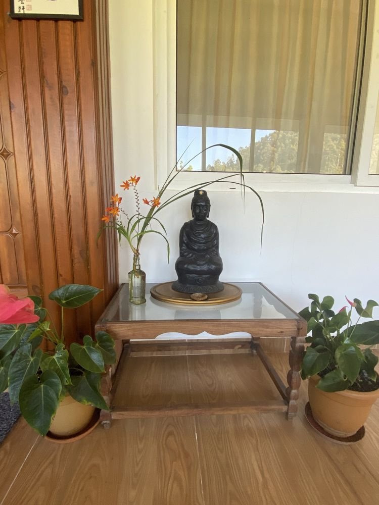 A Buddha statue on a table, calm indoor shrine